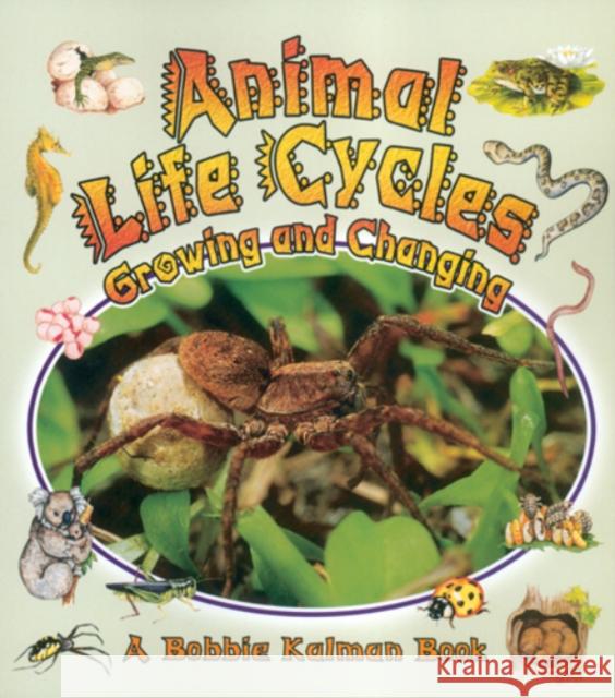 Animal Life Cycles: Growing and Changing Bobbie Kalman 9780778723127 Crabtree Publishing Co,Canada - książka