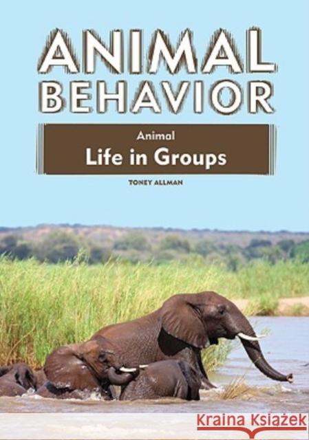 Animal Life in Groups Toney Allman                             Toney Allman 9781604131420 Chelsea House Publishers - książka