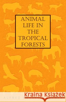 Animal Life in the Tropical Forests Alfred Russel Wallace 9781473329454 Read Books - książka