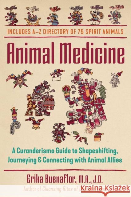 Animal Medicine: A Curanderismo Guide to Shapeshifting, Journeying, and Connecting with Animal Allies Erika Buenaflor, M.A., J.D. 9781591434115 Inner Traditions Bear and Company - książka