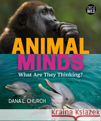 Animal Minds: What Are They Thinking? Dana L. Church 9781459834156 Orca Book Publishers - książka