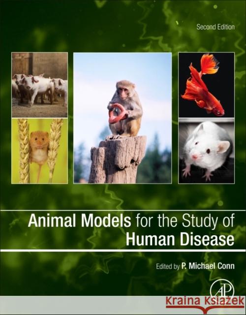 Animal Models for the Study of Human Disease P. Michael Conn 9780128094686 Academic Press - książka