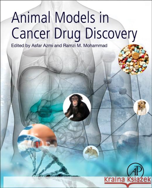 Animal Models in Cancer Drug Discovery Ramzi M. Mohammad Asfar Azmi 9780128147047 Academic Press - książka