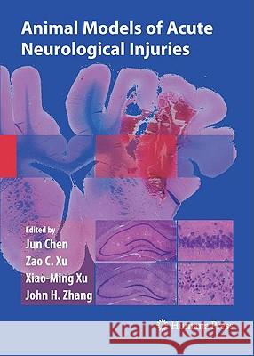 Animal Models of Acute Neurological Injuries Jun Chen Zao C. Xu Xiao-Xu Xu 9781603271844 Humana Press - książka