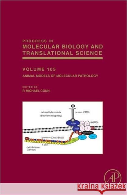 Animal Models of Molecular Pathology: Volume 105 Conn, P. Michael 9780123945969  - książka