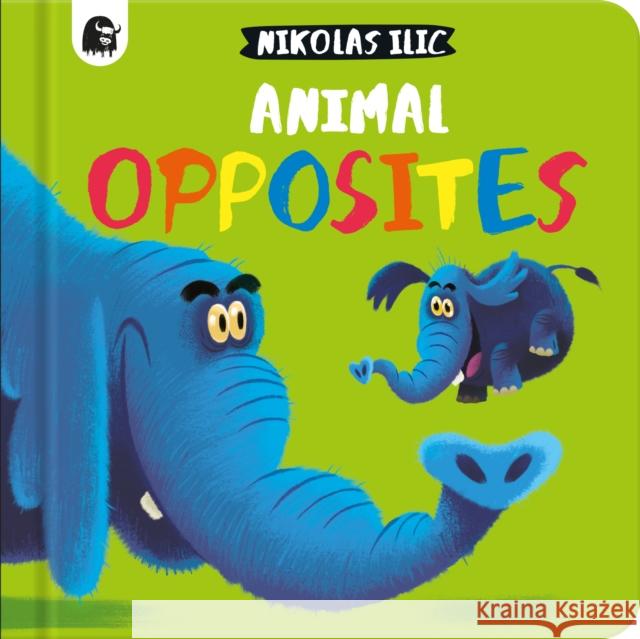 Animal Opposites Nikolas Ilic 9780711278639 Happy Yak - książka