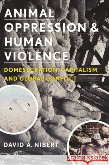 Animal Oppression and Human Violence: Domesecration, Capitalism, and Global Conflict Nibert, David 9780231151887  - książka