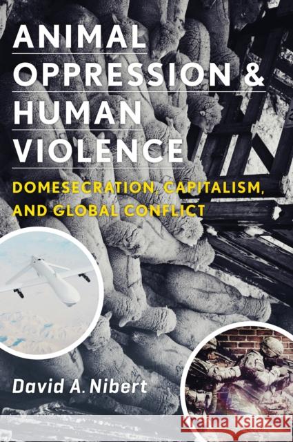 Animal Oppression and Human Violence: Domesecration, Capitalism, and Global Conflict Nibert, David 9780231151894  - książka