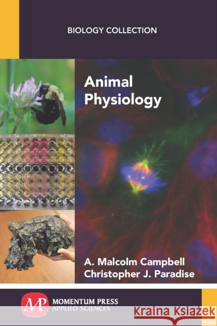 Animal Physiology A. Malcolm Campbell Christopher J. Paradise 9781606509852 Momentum Press - książka