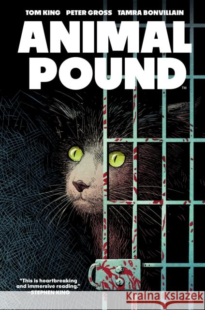 Animal Pound Tom King 9781637969779 Boom! Studios - książka