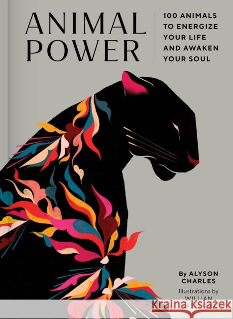 Animal Power: 100 Animals to Energize Your Life and Awaken Your Soul Alyson Charles Willian Santiago 9781797209531 Chronicle Books - książka