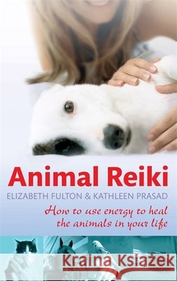 Animal Reiki: How to use energy to heal the animals in your life Kathleen Prasad 9780749952808 Little, Brown Book Group - książka