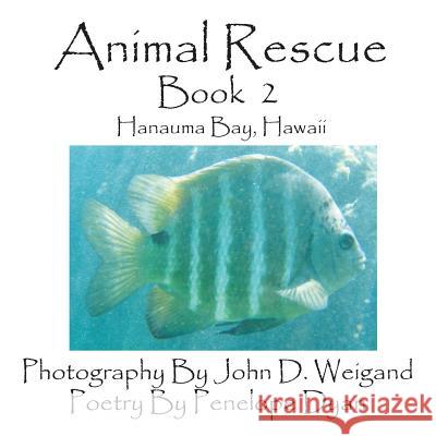 Animal Rescue, Book 2, Hanauma Bay, Hawaii Penelope Dyan John D. Weigand 9781935118435 Bellissima Publishing - książka