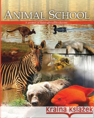 Animal School Melody Spier 9781483946672 Createspace - książka