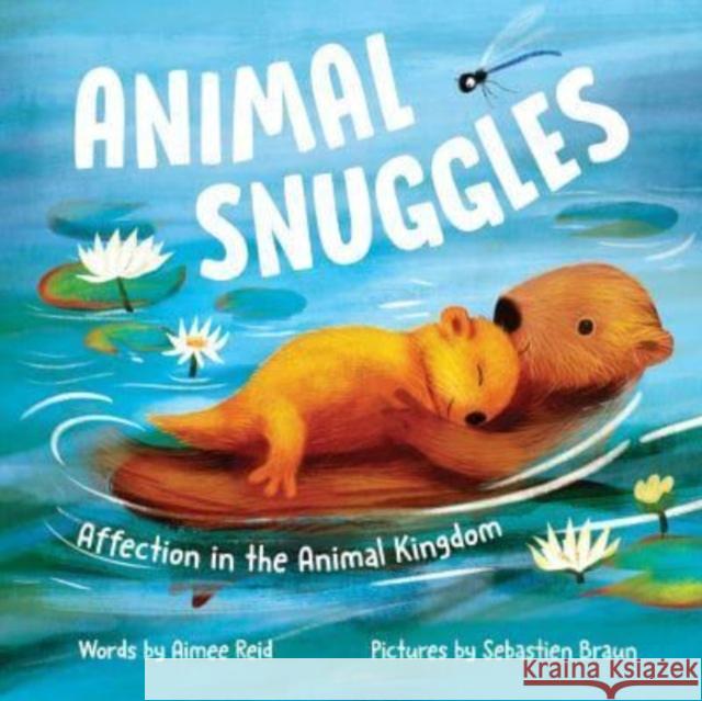 Animal Snuggles: Affection in the Animal Kingdom Aimee Reid Sebastien Braun 9781728275406 Sourcebooks, Inc - książka