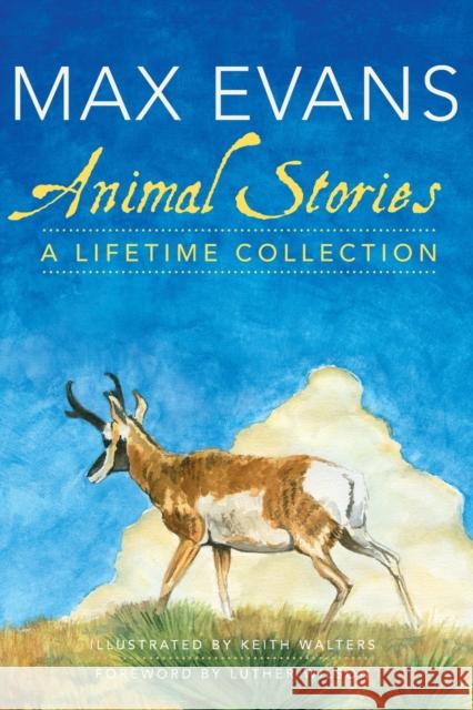 Animal Stories: A Lifetime Collection Max Evans Keith Walters 9780806143668 University of Oklahoma Press - książka