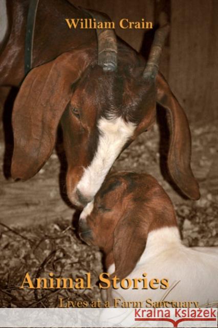 Animal Stories: Lives at a Farm Sanctuary William (William Crain) Crain 9781590567203 Lantern Books,US - książka
