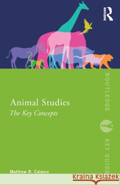 Animal Studies: The Key Concepts Matthew R. Calarco 9780367028893 Taylor & Francis Ltd - książka