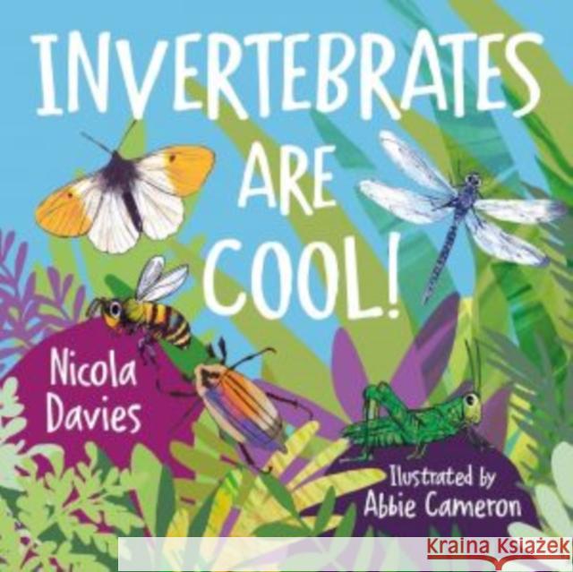 Animal Surprises: Invertebrates Are Cool! Nicola Davies 9781912213696 Graffeg Limited - książka