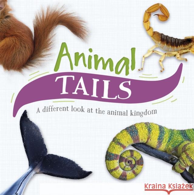 Animal Tails: A different look at the animal kingdom Tim Harris   9781526312549 Hachette Children's Group - książka