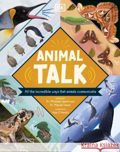 Animal Talk: All the Incredible Ways that Animals Communicate Dr Meriel Lland 9780241620311 Dorling Kindersley Ltd - książka