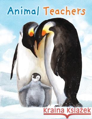 Animal Teachers Katy Hudson Janet Halfmann 9781609057435 Blue Apple Books - książka