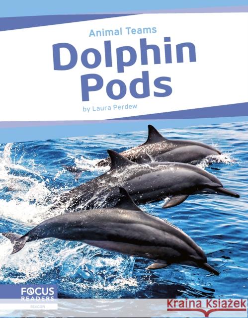 Animal Teams: Dolphin Pods Laura Perdew 9798889982470 Focus Readers - książka