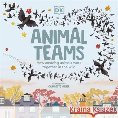 Animal Teams: How Amazing Animals Work Together in the Wild Charlotte Milner 9780241525913 Dorling Kindersley Ltd - książka