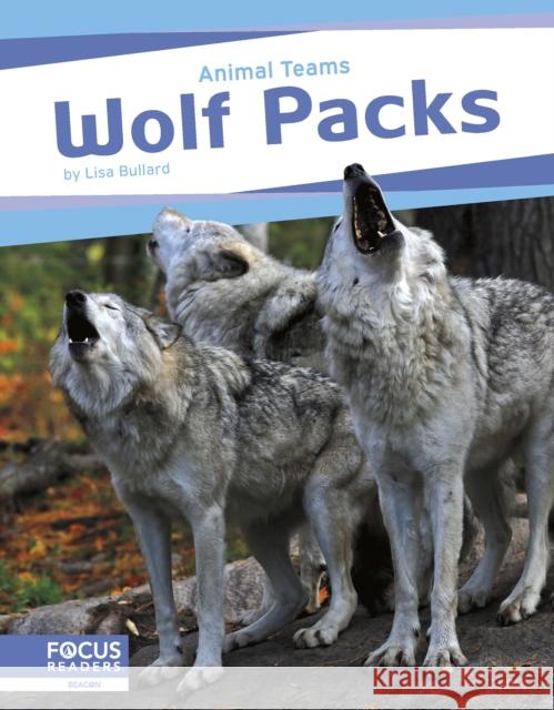 Animal Teams: Wolf Packs Lisa Bullard 9798889981954 Focus Readers - książka