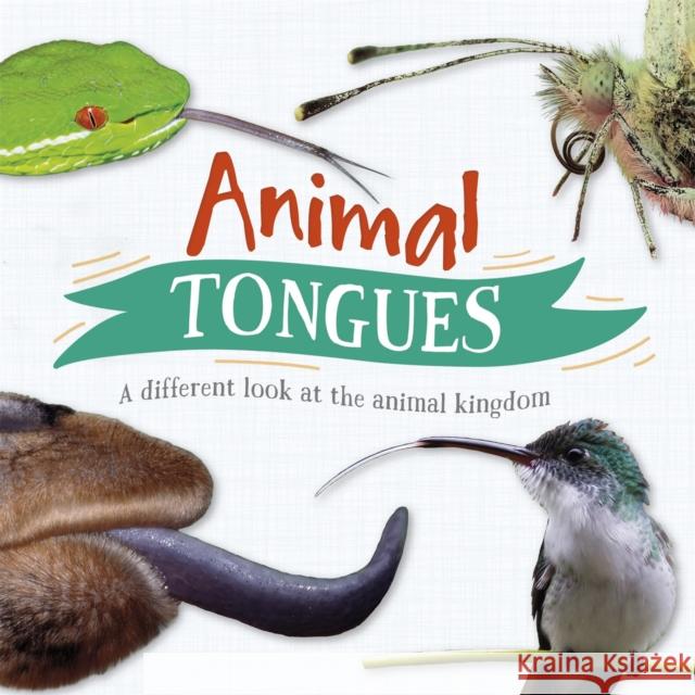 Animal Tongues: A different look at the animal kingdom Tim Harris 9781526312174 Hachette Children's Group - książka