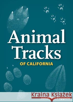 Animal Tracks of California Playing Cards Jonathan Poppele 9781591937395 Adventure Publications - książka