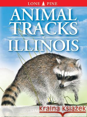 Animal Tracks of Illinois Tamara Eder, Gary Ross, Ted Nordhagen 9781551053011 Lone Pine Publishing,Canada - książka