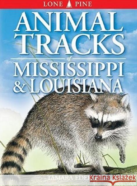 Animal Tracks of Mississippi and Louisiana Tamara Eder, Edwin Arnfield 9781551053158 Lone Pine Publishing,Canada - książka