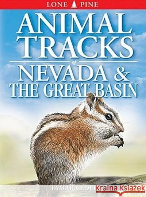 Animal Tracks of Nevada and the Great Basin Tamara Eder, Edwin Arnfield 9781551053394 Lone Pine Publishing,Canada - książka