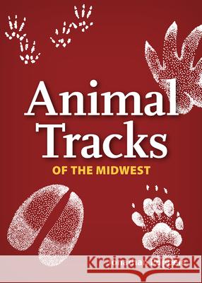 Animal Tracks of the Midwest Playing Cards Jonathan Poppele 9781591934875 Adventure Publications(MN) - książka