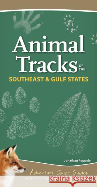 Animal Tracks of the Southeast & Gulf States: Your Way to Easily Identify Animal Tracks Poppele, Jonathan 9781591939498 Adventure Publications - książka