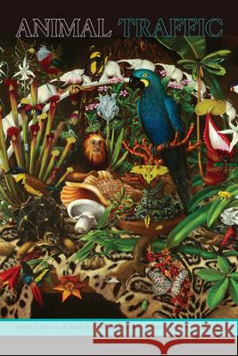 Animal Traffic: Lively Capital in the Global Exotic Pet Trade Rosemary-Claire Collard 9781478010920 Duke University Press - książka