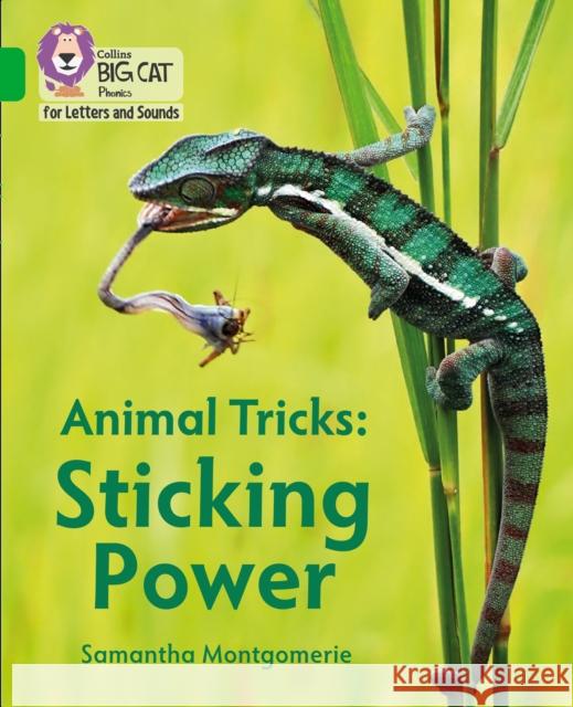 Animal Tricks: Sticking Power: Band 05/Green Samantha Montgomerie 9780008409982 HarperCollins Publishers - książka