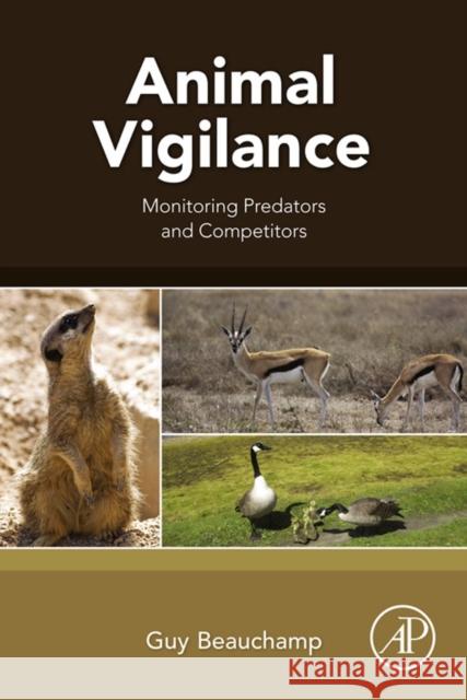 Animal Vigilance: Monitoring Predators and Competitors Beauchamp, Guy   9780128019832 Elsevier Science - książka