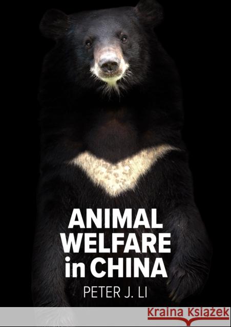 Animal Welfare in China Peter J. Li 9781743324707 Sydney University Press - książka