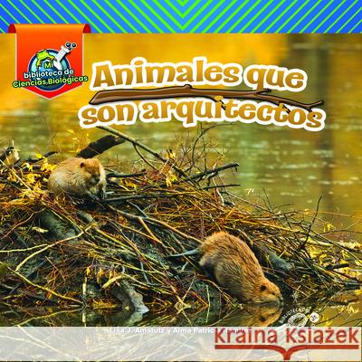 Animales Que Son Arquitectos: Animal Architects Amstutz                                  Ramirez 9781731652928 Discovery Library Jr - książka