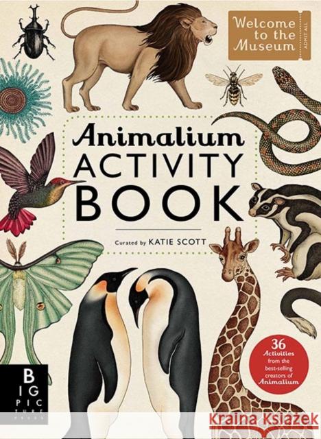 Animalium Activity Book Katie Scott 9781783703432 Templar Publishing - książka