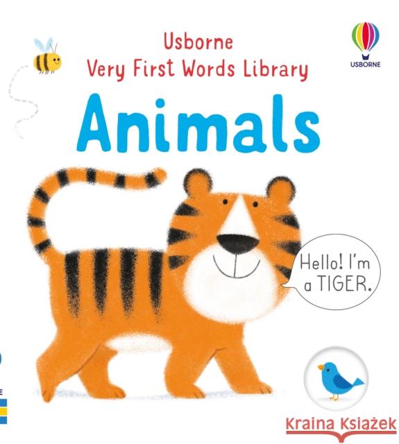 Animals Matthew Oldham 9781474998178 Usborne Publishing Ltd - książka