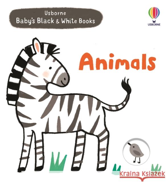 Animals Mary Cartwright 9781474998376 Usborne Publishing Ltd - książka