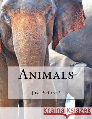 Animals Just Pictures! 9781546637356 Createspace Independent Publishing Platform - książka