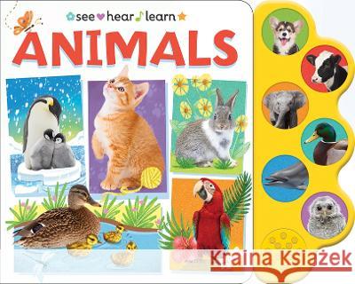 Animals Cottage Door Press 9781646388431 Cottage Door Press - książka