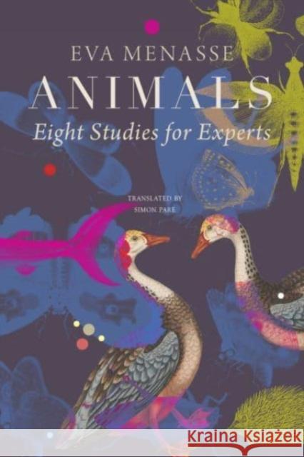 Animals - Eight Studies for Experts Simon Pare 9781803092621 Seagull Books London Ltd - książka