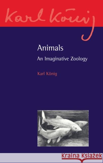Animals: An Imaginative Zoology König, Karl 9780863159664 Floris Books - książka