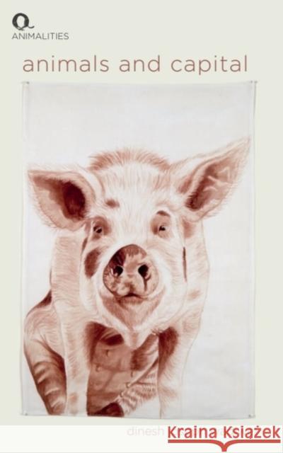Animals and Capital Dinesh Joseph Wadiwel 9781399518079 Edinburgh University Press - książka
