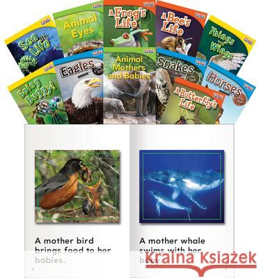 Animals and Insects, Grades 1-2 Teacher Created Materials 9781433351297 Teacher Created Materials - książka